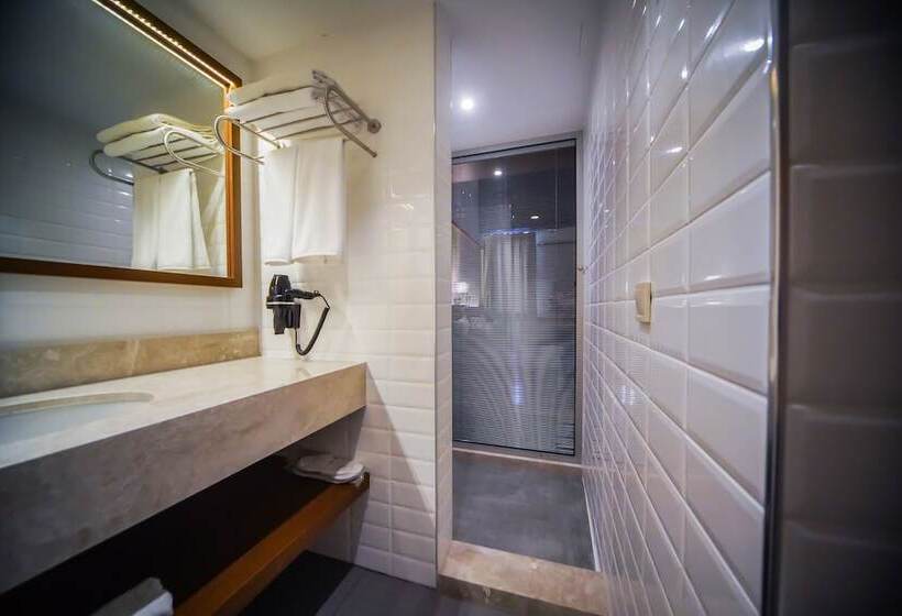 اتاق استاندارد, Four Points Flex By Sheraton Bursa Nilüfer