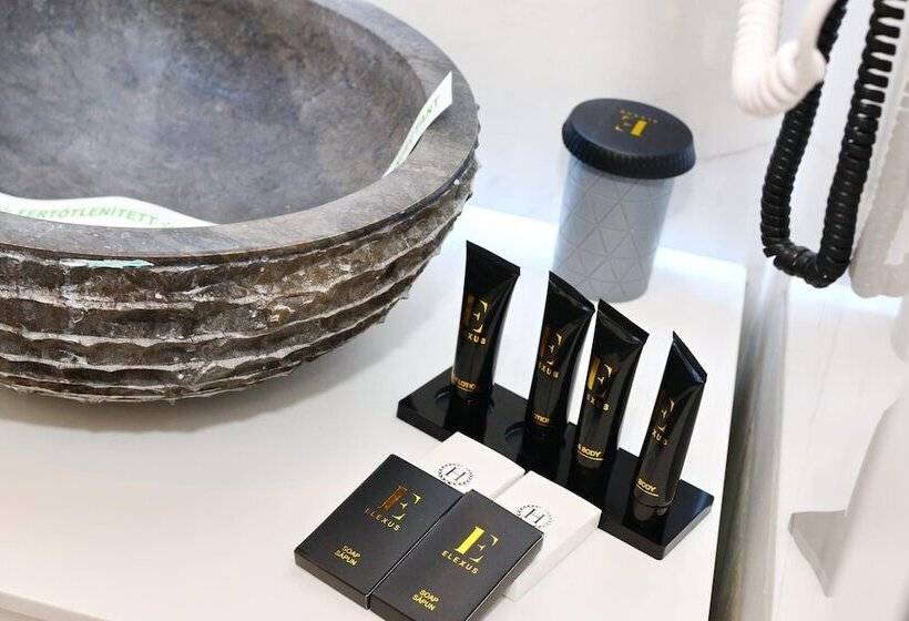 شقة ديلوكس غرفة واحدة, Elexus Predeal