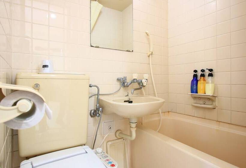 غرفة قياسية فردية, New Nishida