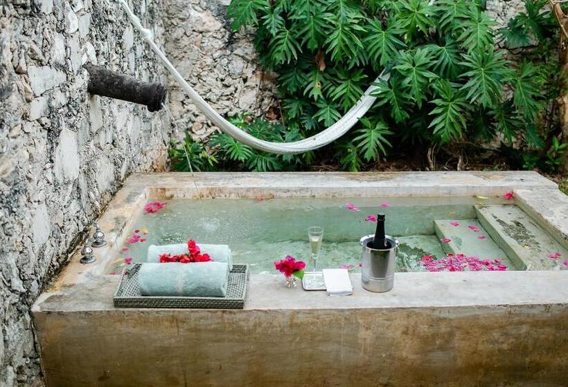 اتاق استاندارد اینتریور, Villa Octavia