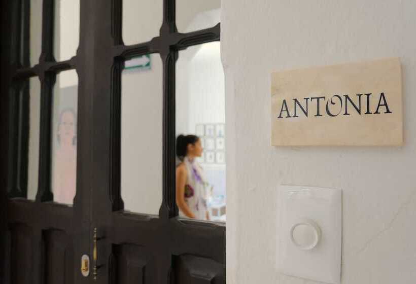 اتاق لوکس, Villa Octavia