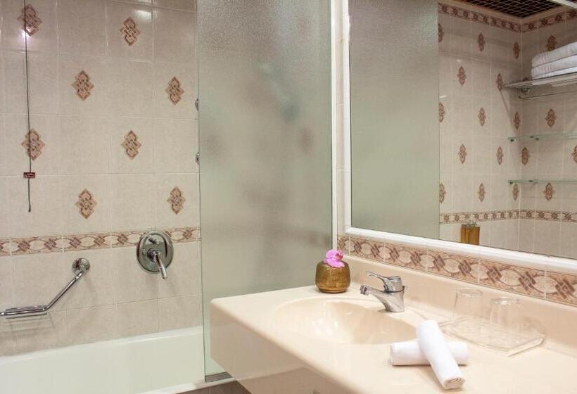 חדר סופריור, Starhotels Vespucci