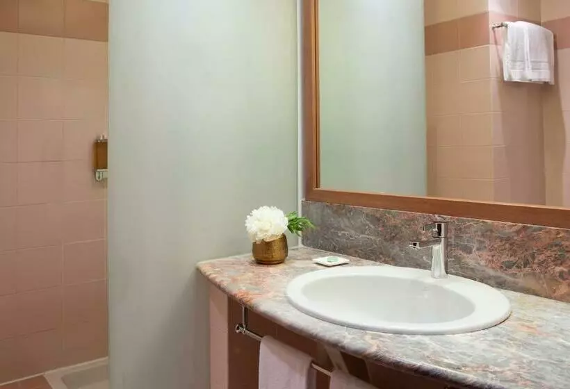 اتاق خانوادگی, Starhotels Business Palace