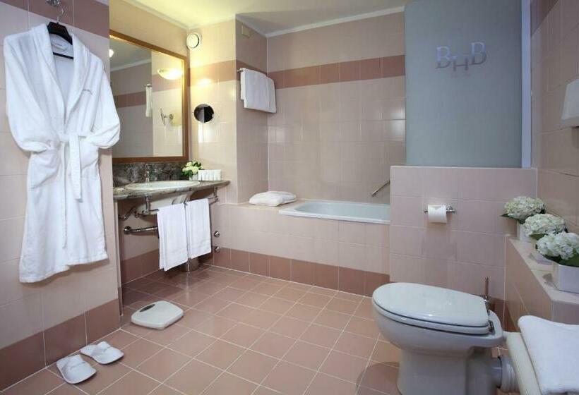 エクゼクティブルーム, Starhotels Business Palace