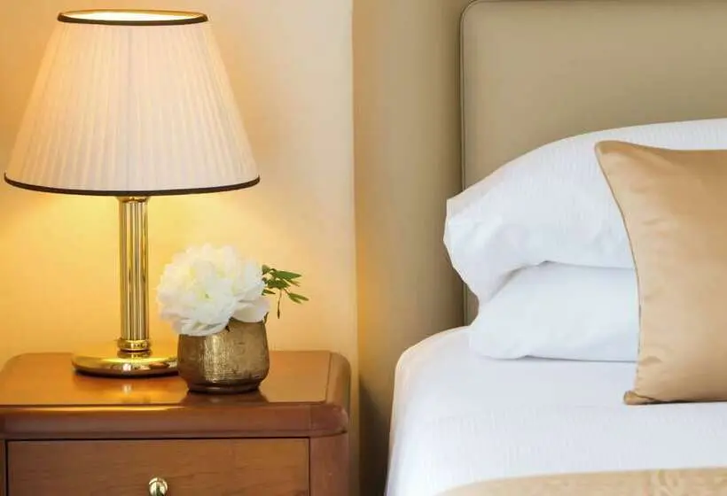 اتاق کلاسیک یک تخته, Starhotels Business Palace