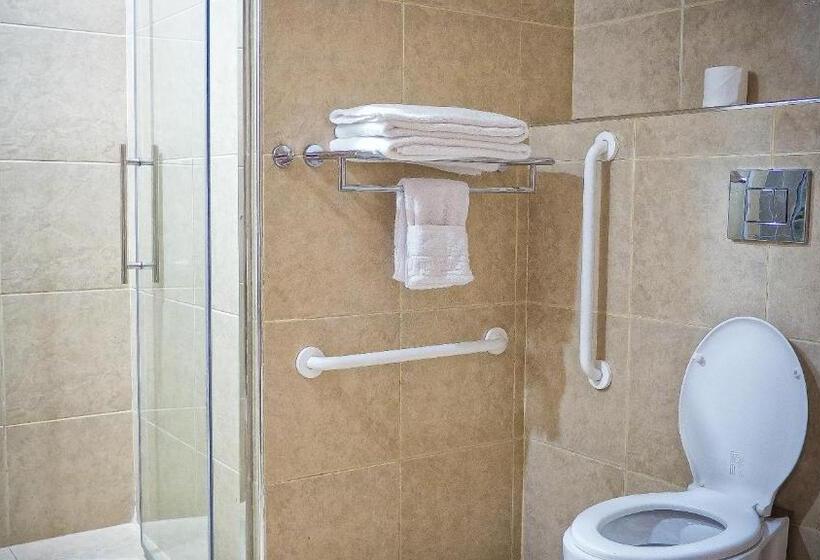 اتاق استاندارد با تخت بزرگ برای معلولان, Best Western Kisumu