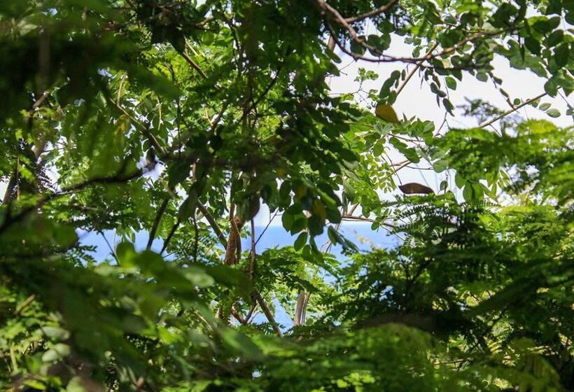 经济房, Posada La Sabila