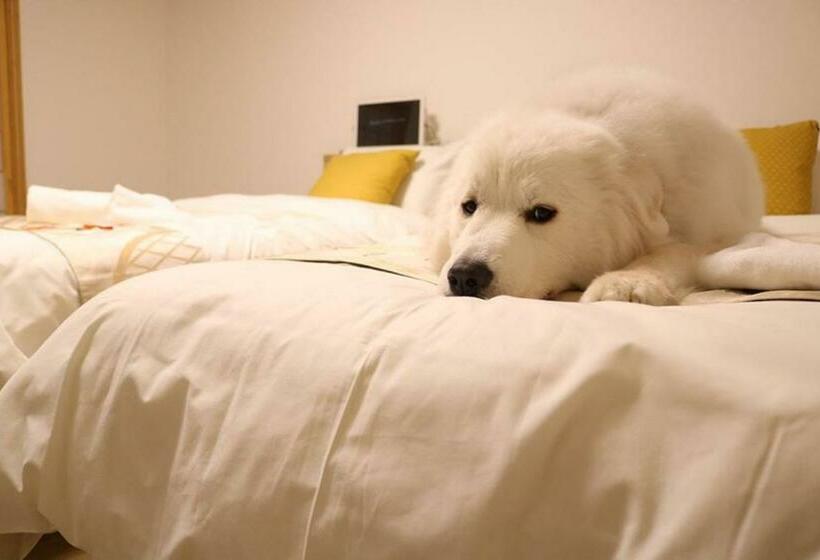 스탠다드 트리플 룸, Miyajima Shiro