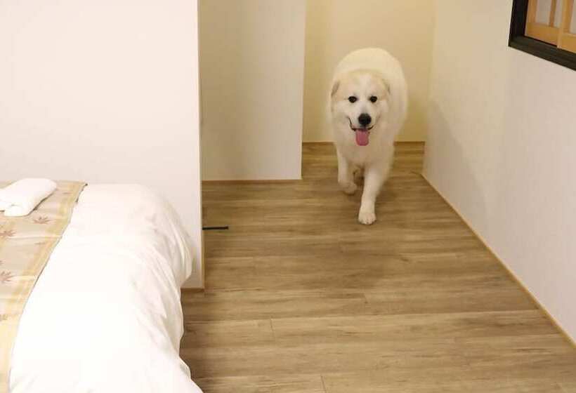 스탠다드 트리플 룸, Miyajima Shiro