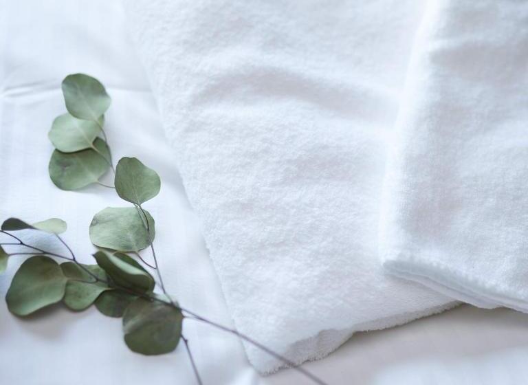 スタンダードルーム, Super Hotel Marugame Ekimae