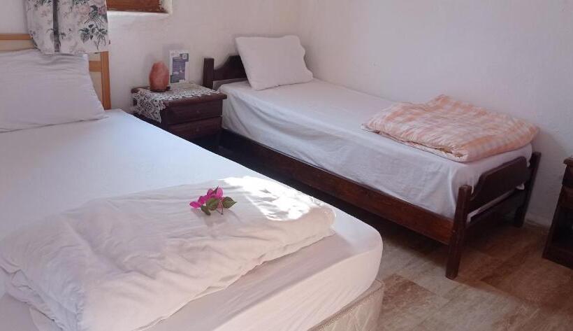 Трехместный Номер Базовый, Green House Boğaziçi – Dodo House