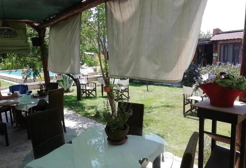 Номер Стандарт, Green House Boğaziçi – Dodo House