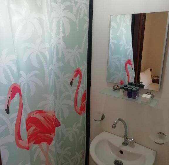 Номер Стандарт, Green House Boğaziçi – Dodo House