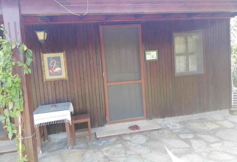 标准间, Green House Boğaziçi – Dodo House