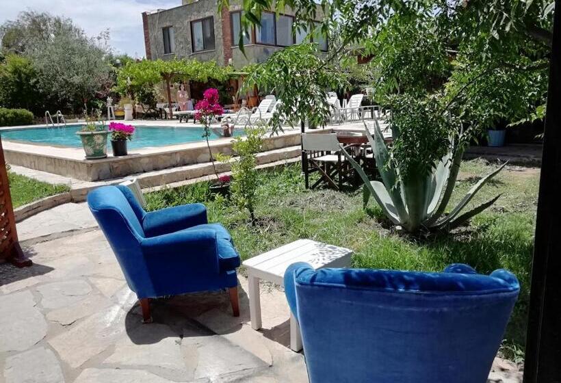 基本三人间, Green House Boğaziçi – Dodo House