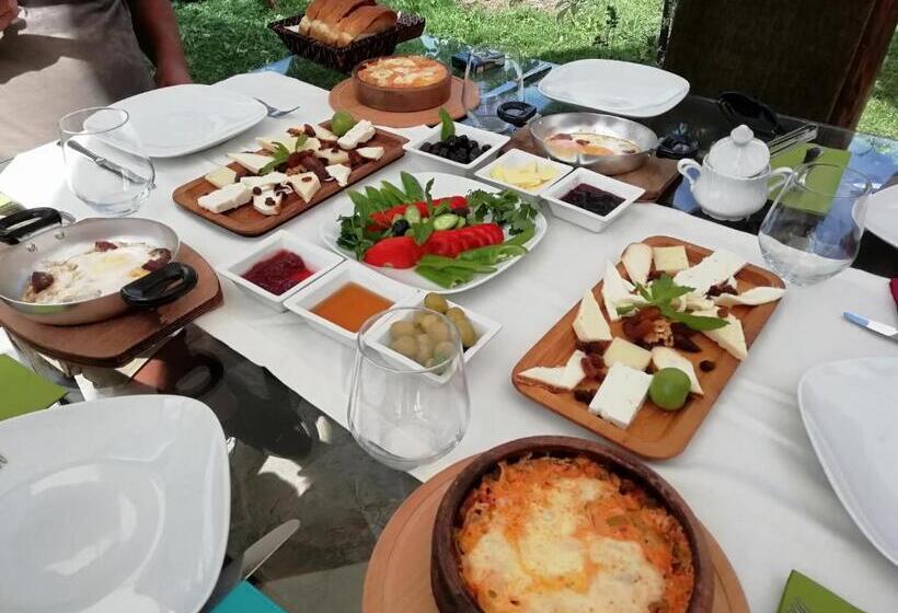 基本三人间, Green House Boğaziçi – Dodo House