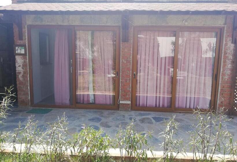 基本三人间, Green House Boğaziçi – Dodo House