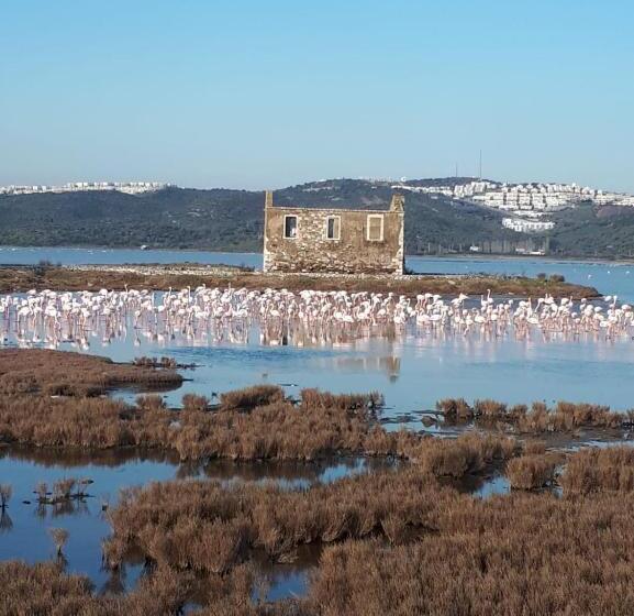 标准间, Green House Boğaziçi – Dodo House