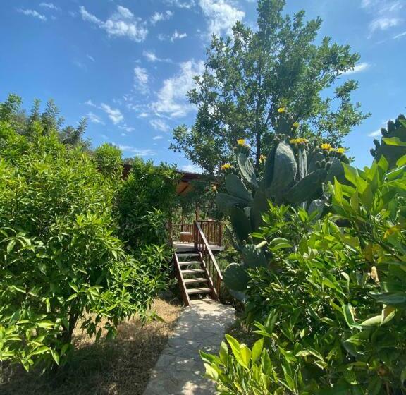 בקתה דלוקס, Casa Roja