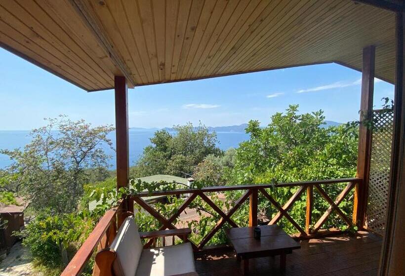 Трехместный Номер Deluxe Вид на Море, Casa Roja