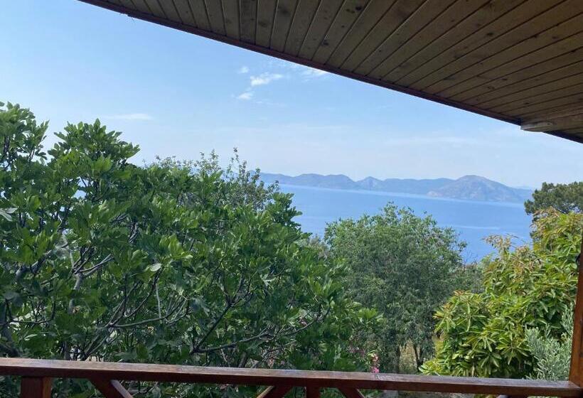 חדר דלוקס לשלושה עם נו לים, Casa Roja