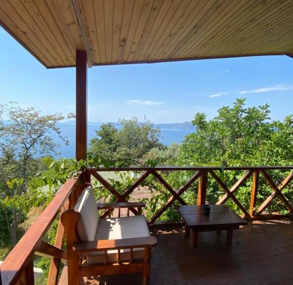 Трехместный Номер Deluxe Вид на Море, Casa Roja
