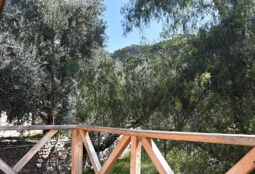 חדר סטנדרט, Casa Roja