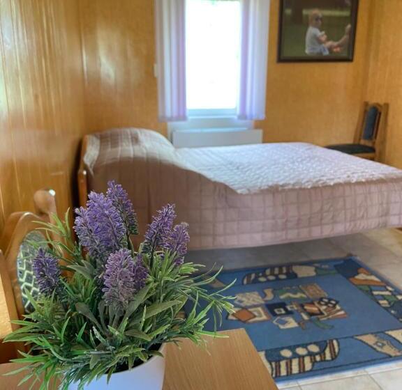 اتاق اکونومی, Constancia