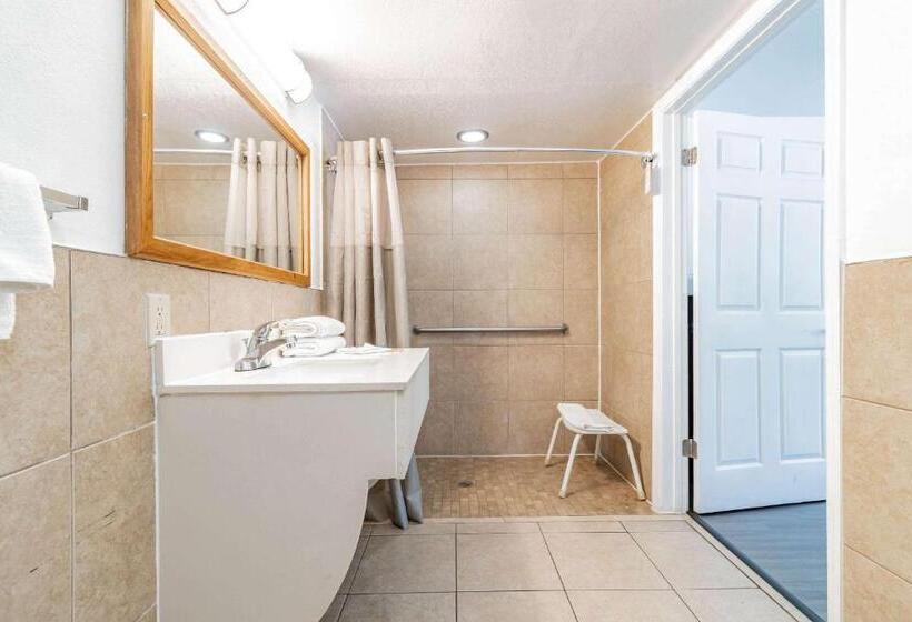 اتاق استاندارد با تخت بزرگ, Motel 6 Tampa  Near Fairgrounds  Casino