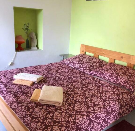 اتاق استاندارد با چشم‌انداز باغ, Guest House U Náhonu