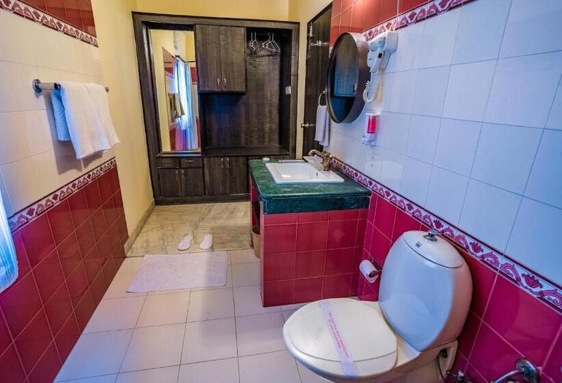 جناح, Shani Vilas Ranthambore