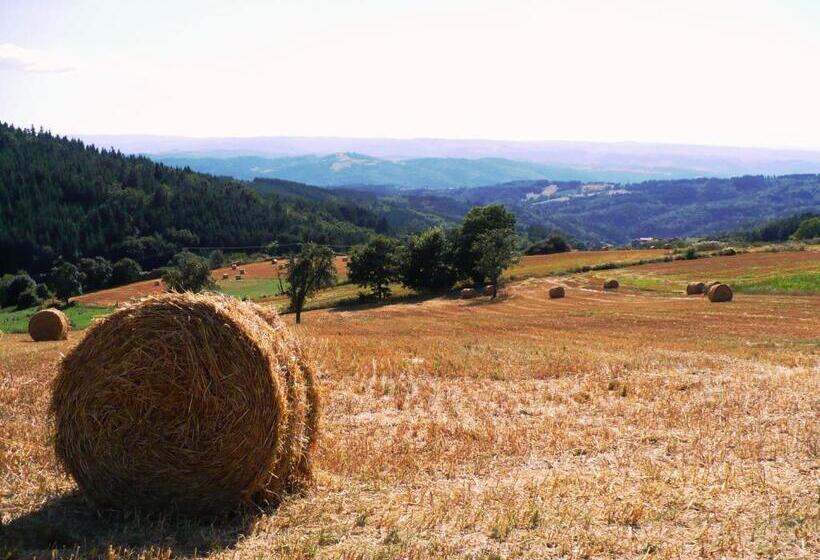 스탠다드 룸, Le Grand Trianon