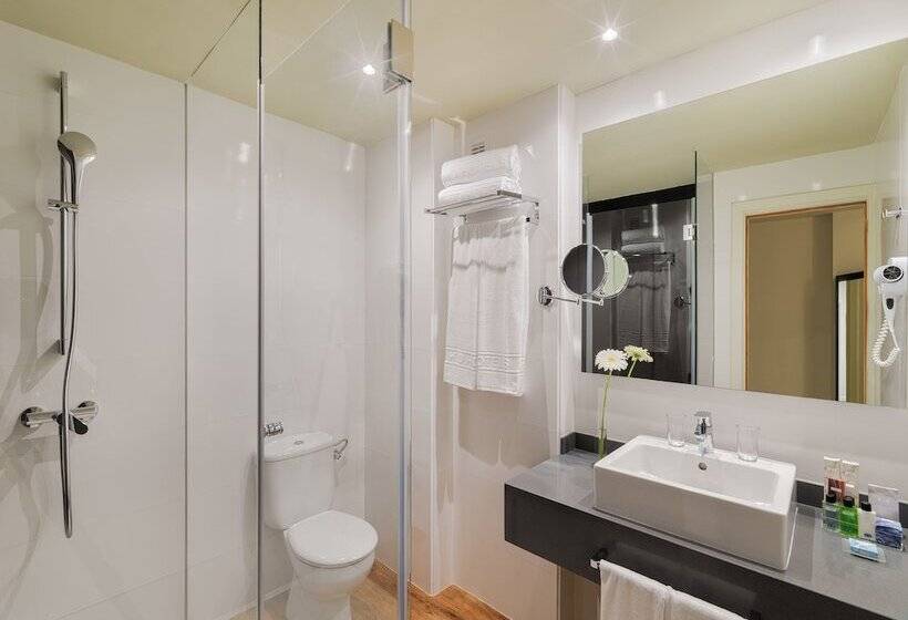 اتاق استاندارد, H10 Las Palmeras