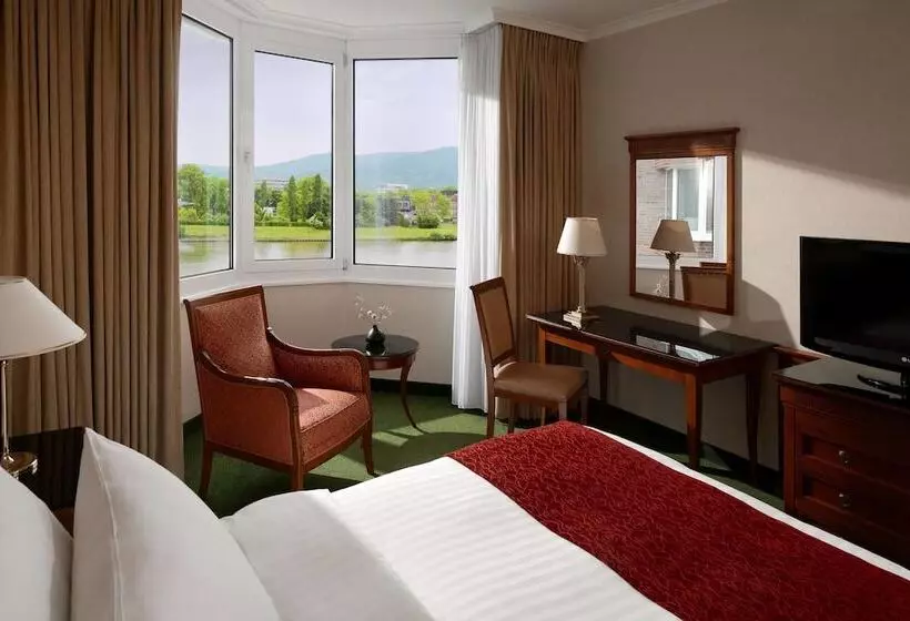 エクゼクティブルーム, Heidelberg Marriott