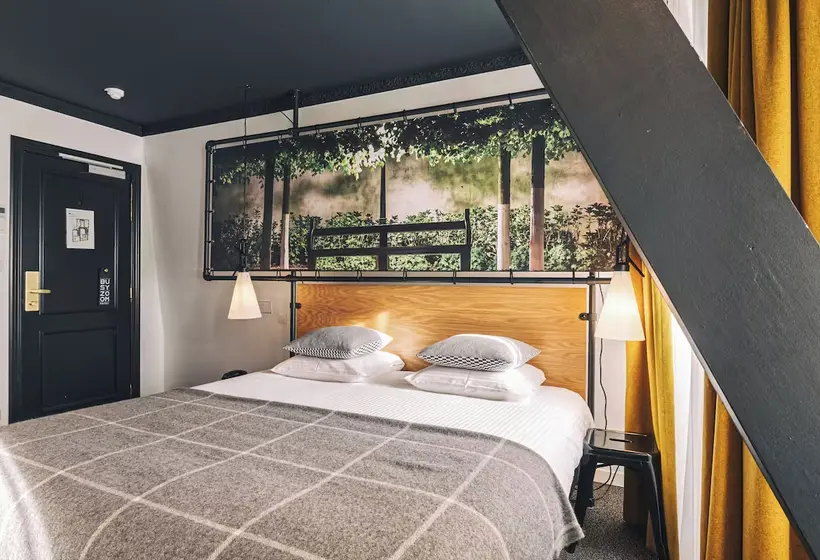 اتاق لوکس, Zoom