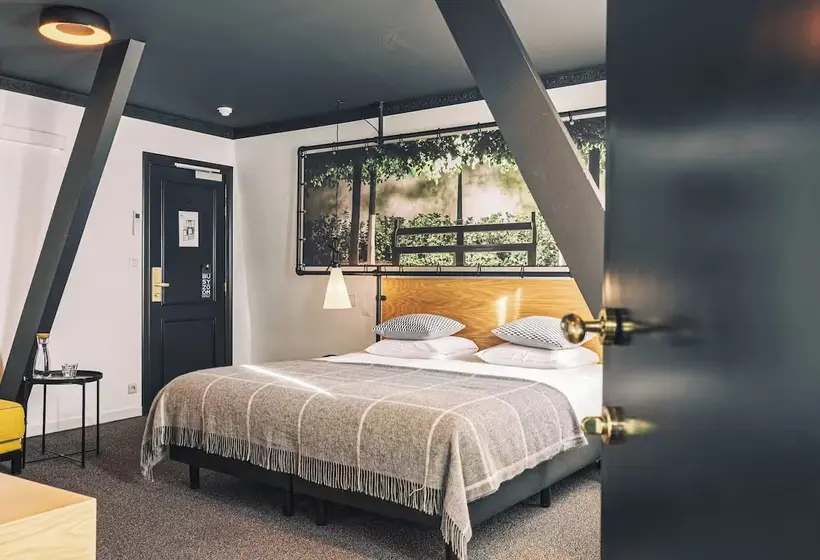 اتاق لوکس, Zoom