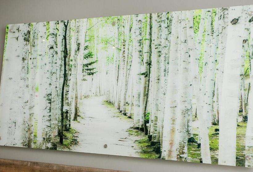 キングサイズベッドのスタンダードルーム, Vinique Guesthouse