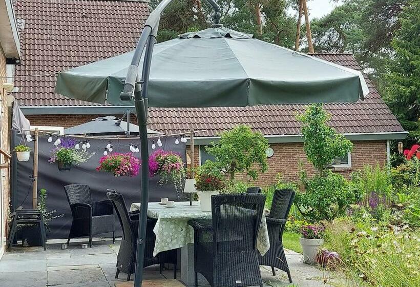 豪华房间, Bed&breakfast Kamersven