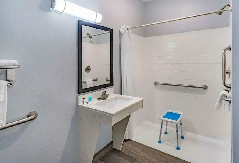 障害者適応デラックスルーム, Days Inn & Suites By Wyndham Horn Lake Memphis Graceland