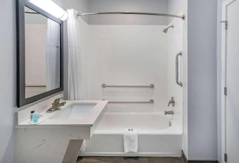身障者適用キングサイズベッドルーム, Days Inn & Suites By Wyndham Horn Lake Memphis Graceland