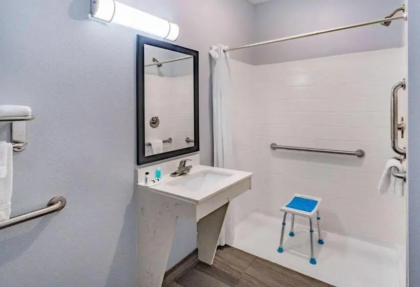 身障者適用スタンダードルーム, Days Inn & Suites By Wyndham Horn Lake Memphis Graceland