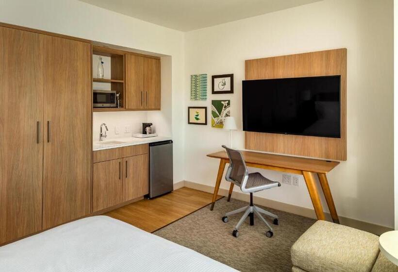 اتاق استاندارد با تخت بزرگ, Element Bend