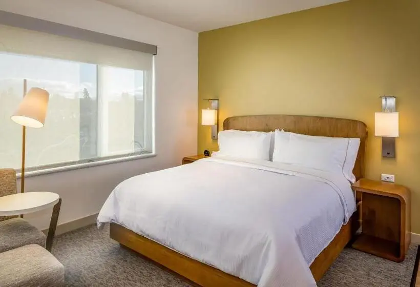 Standard Room King Size Bed