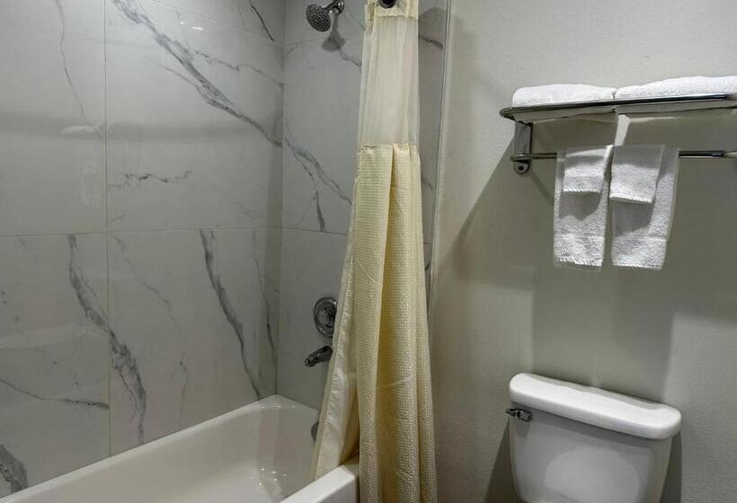 带大床的标准间, Comfort Inn & Suites Belton Temple South I 35