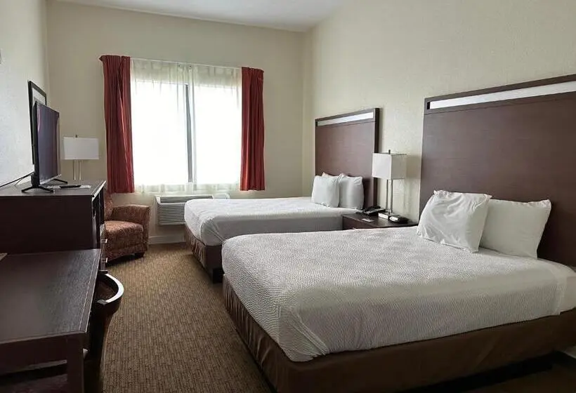 スタンダード４人部屋, Comfort Inn & Suites Belton Temple South I 35