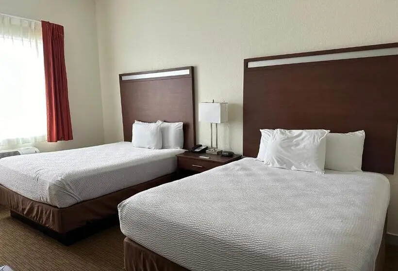 スタンダード４人部屋, Comfort Inn & Suites Belton Temple South I 35