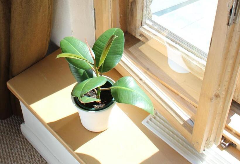 اتاق استاندارد با سرویس بهداشتی مشترک, Tree House
