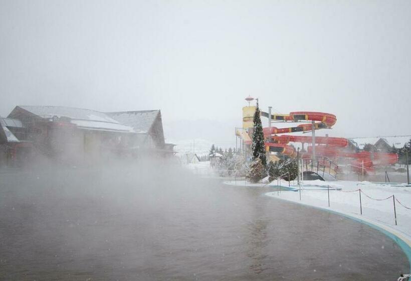 스탠다드 스튜디오, Apartmán Dagmar