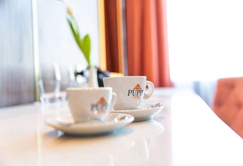 اتاق سوپریور, Pupin Novi Sad