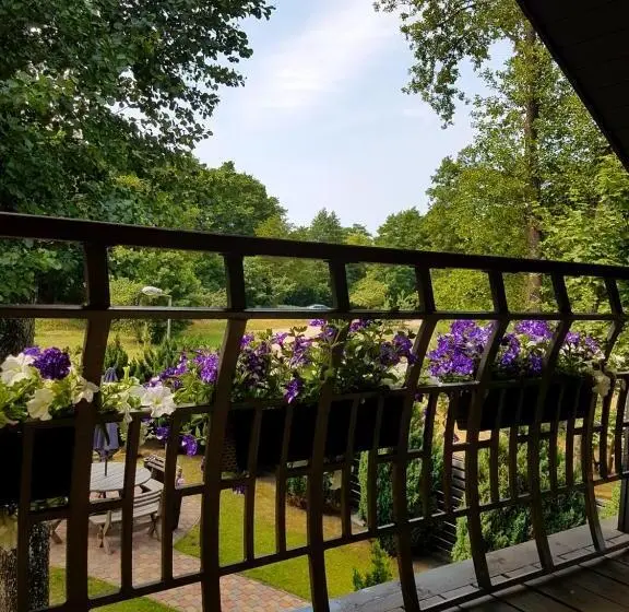 استودیوی لوکس, Rasos Vila